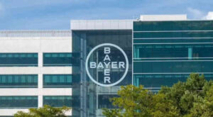 bayer