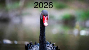 cisnes negros 2026